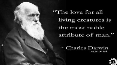 KITTEN Charles Darwin the love of all living
